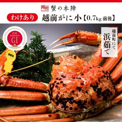 【わけあり】冬の日本海の味　浜茹で【越前がに　小　0.7kg前後】11月～翌3月順次発送