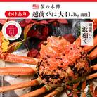 【わけあり】冬の日本海の味　浜茹で【越前がに　大　1.3kg前後】11月～翌3月順次発送