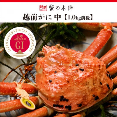 冬の日本海の味　浜茹で【越前がに　中　1.0kg前後】12月発送