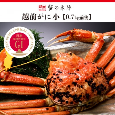 冬の日本海の味　浜茹で【越前がに　小　0.7kg前後】2027年3月発送