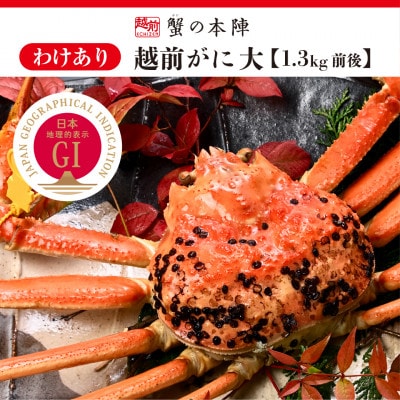 【わけあり】冬の日本海の味　浜茹で【越前がに　大　1.3kg前後】2027年3月発送