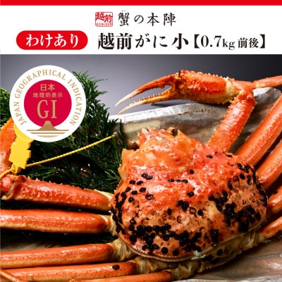 【わけあり】冬の日本海の味　浜茹で【越前がに　小　0.7kg前後】11月発送