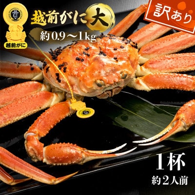 【訳あり】越前がに 浜茹で 大サイズ(生で約0.9～1kg) × 1杯 約2人前【3月発送分】
