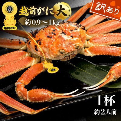 【訳あり】越前がに 浜茹で 大サイズ(生で約0.9～1kg) × 1杯 約2人前【1月より順次発送】