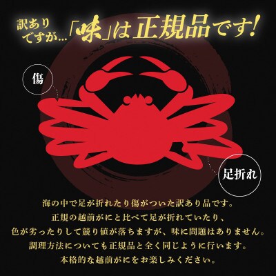 【訳あり】越前がに 浜茹で 大サイズ(生で約0.9～1kg) × 1杯 約2人前【1月より順次発送】