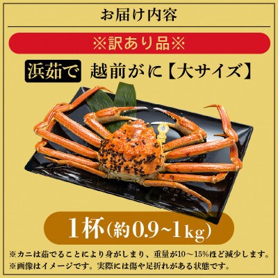【訳あり】越前がに 浜茹で 大サイズ(生で約0.9～1kg) × 1杯 約2人前【1月より順次発送】