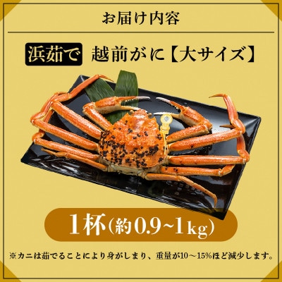 越前がに 浜茹で 大サイズ(生で約0.9～1kg) × 1杯 約2人前