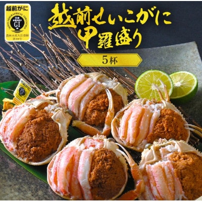 越前せいこ蟹 甲羅盛り「身出し」セット 5杯【1月より順次発送】