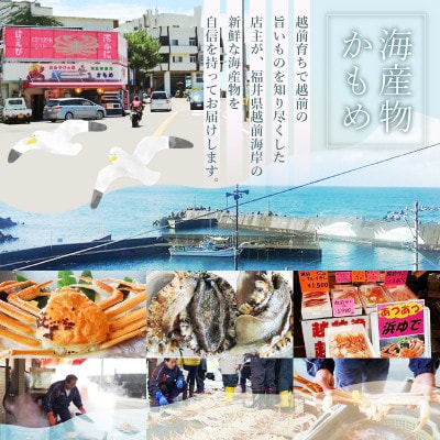 【訳あり】≪浜茹で≫越前がに 中サイズ(生で約600～800g) × 1杯【2月より順次発送】