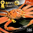 【訳あり】≪浜茹で≫越前がに 小サイズ(生で約400～600g) × 3杯【2月より順次発送】