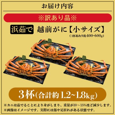 【訳あり】≪浜茹で≫越前がに 小サイズ(生で約400～600g) × 3杯【2月より順次発送】