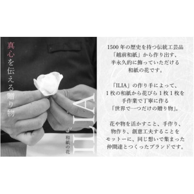 【越前和紙】羽子板 飾り 胡蝶蘭(ホワイト)