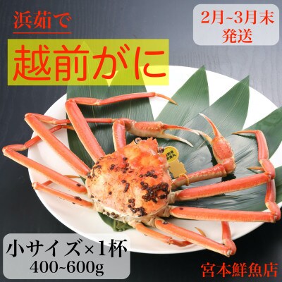 〈浜茹で〉越前がに　小サイズ×1杯【2月より順次発送】