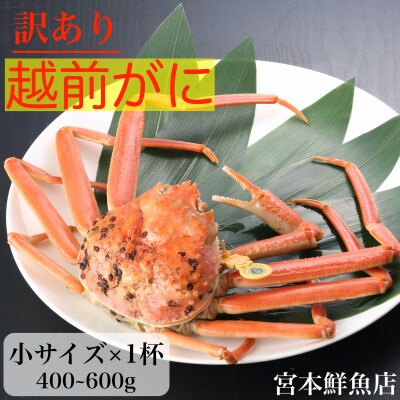 【2025年2月より順次発送】【訳あり】≪浜茹で≫越前がに　小サイズ×1杯