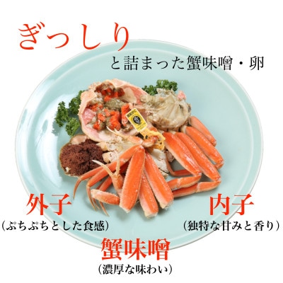 【訳あり】〈浜茹で〉越前産せいこがに3杯(生で合計約600g)【2024年11月中旬頃より順次発送】