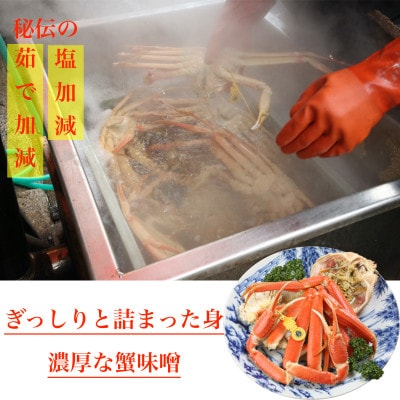 【2026年1月中旬頃より順次発送】《浜茹で》越前がに　小サイズ×1杯