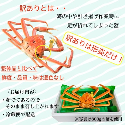 【2026年1月中旬頃より順次発送】【訳あり】《浜茹で》越前がに　中サイズ×1杯
