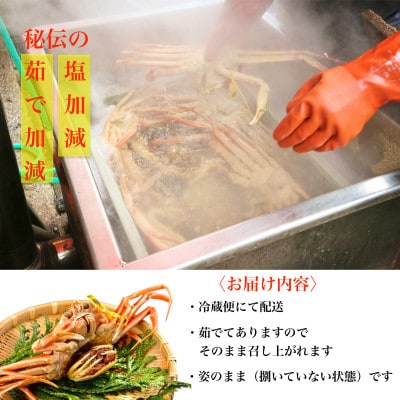 【2025年11月中旬頃より順次発送】《浜茹で》越前産せいこがに　3杯(生で合計約600g)