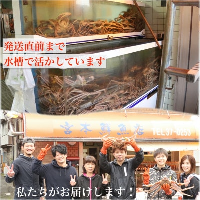 【2025年11月中旬頃より順次発送】《浜茹で》越前産せいこがに　3杯(生で合計約600g)