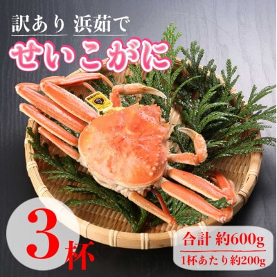 【2025年11月中旬頃より順次発送】【訳あり】《浜茹で》越前産せいこがに3杯(生で合計約600g)
