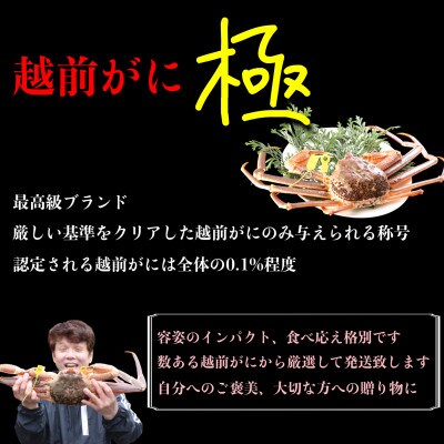 【2026年11月中旬頃より順次発送】《浜茹で》越前がに　極(1.5kg以上×1杯)