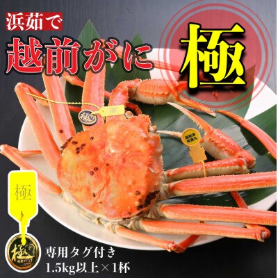 【2027年1月中旬頃より順次発送】《浜茹で》越前がに　極(1.5kg以上×1杯)