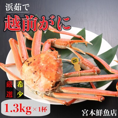 【2027年2月より順次発送】《浜茹で》越前がに　1.3kg以上×1杯
