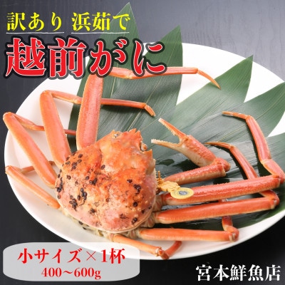 【2027年2月より順次発送】【訳あり】《浜茹で》越前がに　小サイズ×1杯