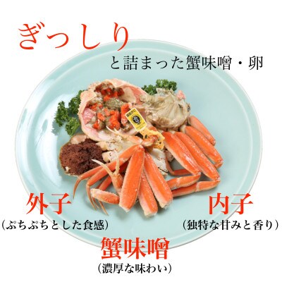 【2026年11月中旬頃より順次発送】《浜茹で》越前産せいこがに　3杯(生で合計約600g)