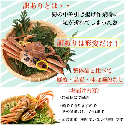 【2026年11月中旬頃より順次発送】【訳あり】《浜茹で》越前産せいこがに3杯(生で合計約600g)