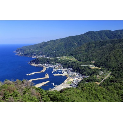 【返礼品なし】福井県越前町 ～越前 E-town brand 寄付のみの応援受付 5,000円コース