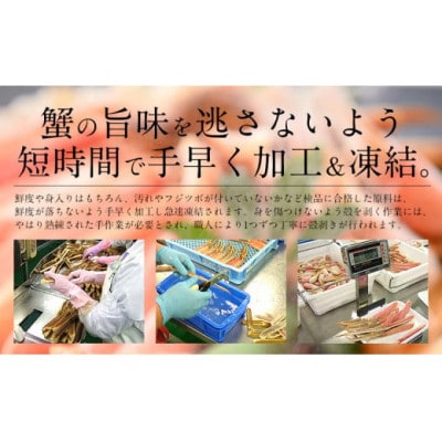 カット済み生ずわい蟹1.8kg(600g×3箱) [e70-c002]