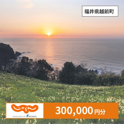 【じゃらんふるさと納税クーポン】 福井県越前町でつかえる300,000円 クーポン