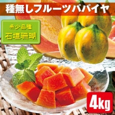 石垣島 フルーツパパイヤ 赤果肉 4kg 4～8玉 種なし | ふるさと納税のお礼品