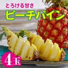 石垣産 ピーチパイン 4 玉 パイナップル | ふるさと納税のお礼品