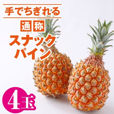 石垣産 スナックパイン 4 玉 パイナップル ボゴール種 お礼品詳細 ふるさと納税なら さとふる
