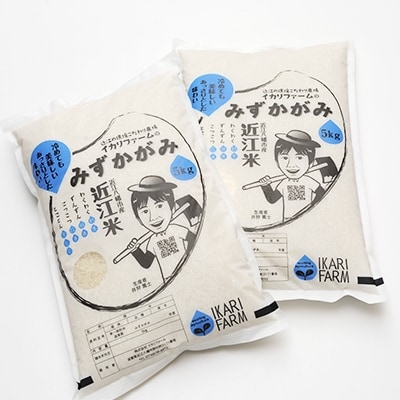 【令和6年産】冷めても美味しいあっさりとした味わい「みずかがみ」白米10kg
