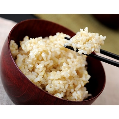 【令和6年産】冷めても美味しいあっさりとした味わい「みずかがみ」玄米10kg