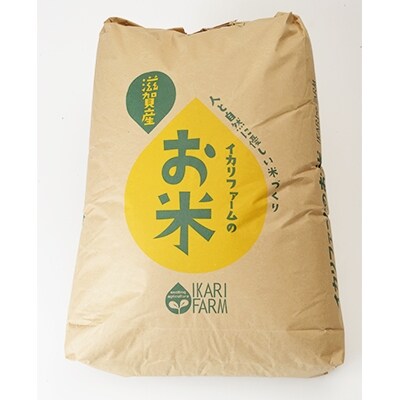 【令和6年産】冷めても美味しいあっさりとした味わい「みずかがみ」白米30kg
