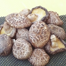 大分特産　原木乾しいたけの詰め合わせ(計400g) | ふるさと納税のお礼品