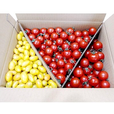 【2019年7月発送】 フルーツトマト「太陽のめぐみ」2kg(フルティカ1500gティポ500g)