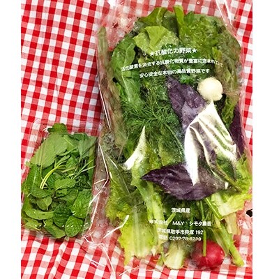 季節の健康野菜&ハーブティのセット