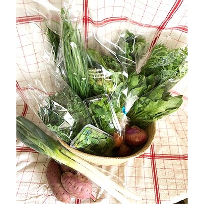 季節の健康野菜&ハーブティのセット