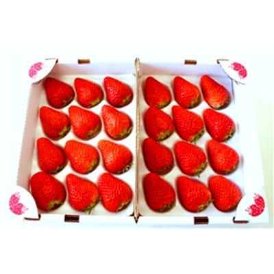 いちごの里 BerryGoodの完熟大粒紅ほっぺ　450g以上×2パック