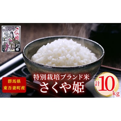 【東吾妻町産】特別栽培ブランド米 さくや姫 10kg(5kg×2袋)[No.5819-0345]