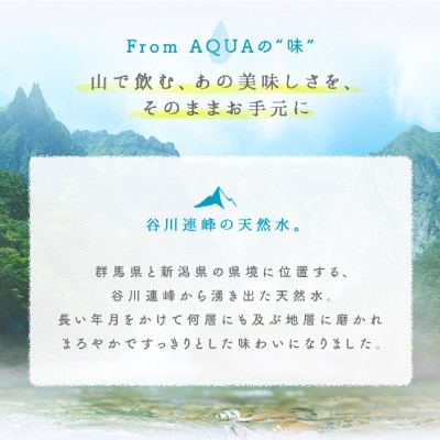 【JR東日本クロスステーション】From AQUA 谷川連峰の天然水　550ml×24本