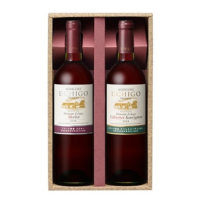 ドメーヌECHIGO(750ml) 2本セット