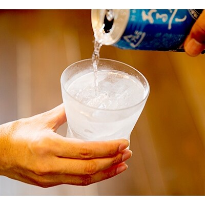 八海山 「焼酎ハイボール・ドライレモン」詰合せ350ml×各12