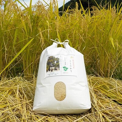 【令和元年産】特別栽培米「こしひかり」:農薬不使用「夫婦杉の里米」玄米5kg