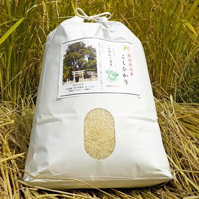【令和元年産】特別栽培米「こしひかり」:農薬不使用「夫婦杉の里米」白米8kg